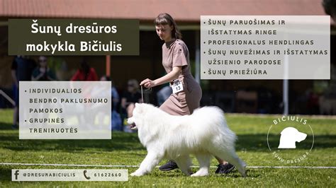 šunų dresūros mokykla