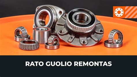 Schematinis automobilio ratų guolio išdėstymas
