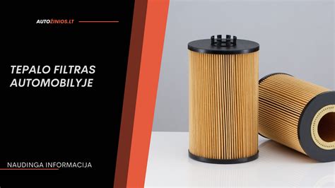 Tepalų filtras automobilyje