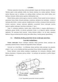 Scheminis cilindrinės detalės formos nuokrypių pavaizdavimas