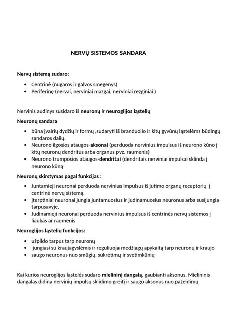 Vairo sistemos sandara