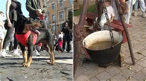 Šunų lojimas daugiabutyje