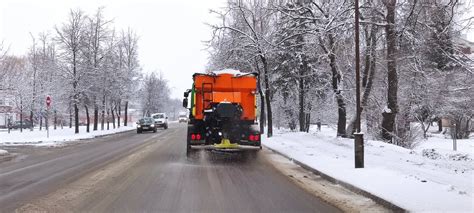 Apleisti automobiliai žiemos metu