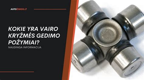 Vairo mechanizmo schema su išskirta vairo kryžme