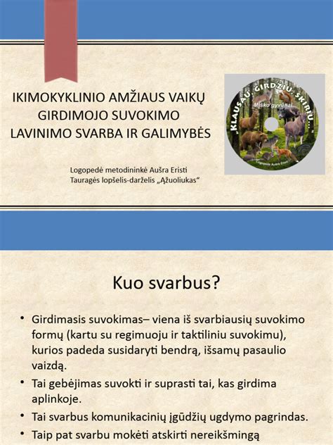 Užlaidų svarba maketuose