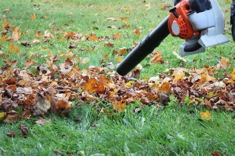 tipai lapų pūstuvų: elektrinis, akumuliatorinis, benzininis