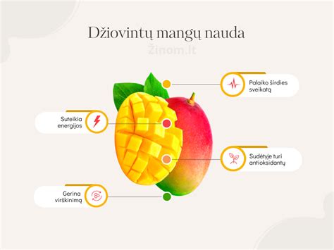 Infografika su ekovairavimo nauda