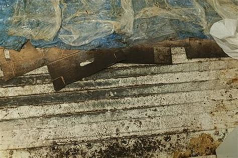 Laikymo sąlygos dažams