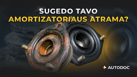 Amortizatoriaus atramos schematinis pavaizdavimas