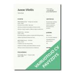 Infografika su vairuotojo CV įgūdžių pavyzdžiais