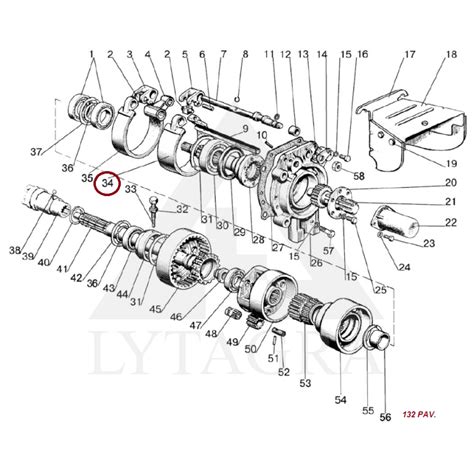 Schematinis darbinio veleno vaizdas