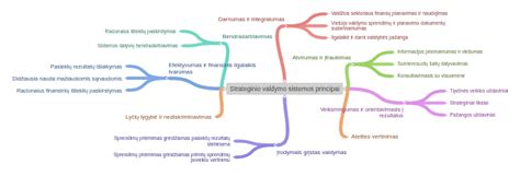 Terminio valdymo sistemos principas elektromobilyje