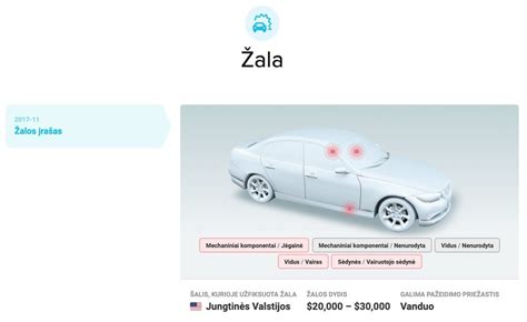 Žala automobiliui ir keleiviams