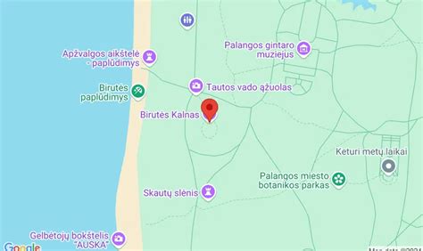 Žemėlapis su nurodyta avarijos vieta prie Ariogalos