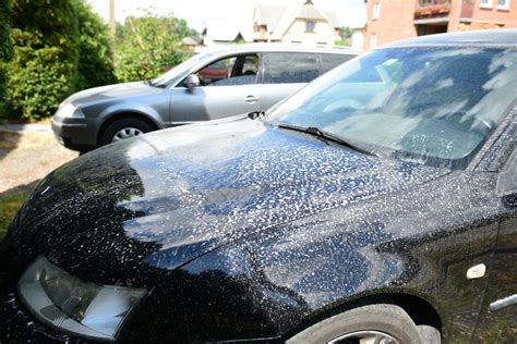 Balta medžiaga ant automobilių Rožyne