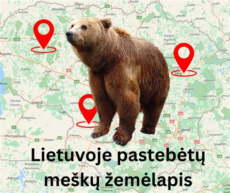 Pelno žemėlapis, sukurtas naudojant tiksliosios žemdirbystės duomenis