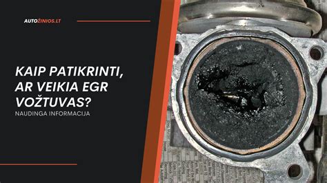 Schema, kaip veikia EGR vožtuvas automobilyje