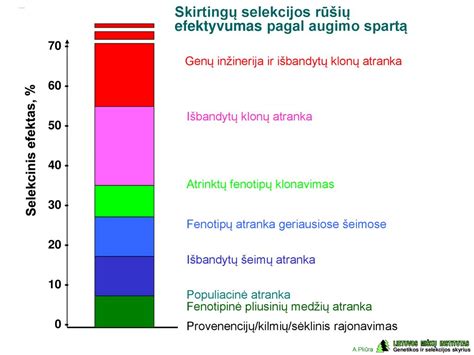 Infografika, iliustruojanti skirtingų bausmių rūšių keitimą