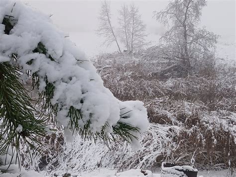 Padangų šoninės sienelės su M+S (purvas ir sniegas), 3PMSF (trys viršukalnės su sniego pūga) ir IGS (ledo sukibimo simbolis) žymėjimais.