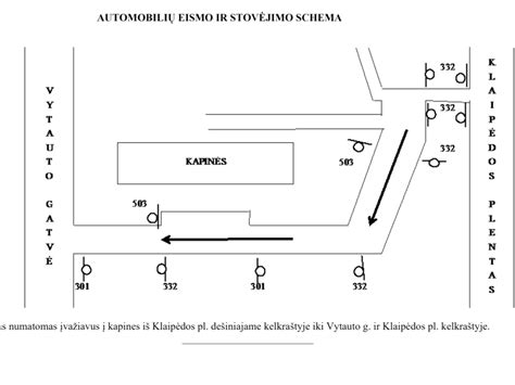 Schema, iliustruojanti Vienos ir Ženevos konvencijų skirtumus