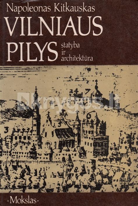 Vilniaus pilys