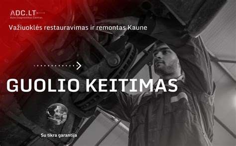 Schematinis vaizdas rutulinio guolio