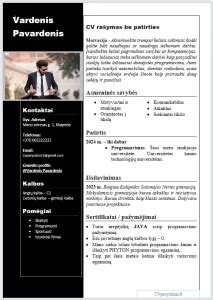 Darbo patirties vizualizacija CV