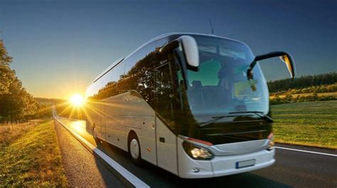 autobuso kategorija D