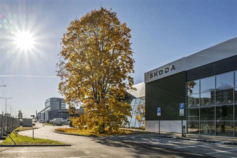 Škoda automobilių aikštelė