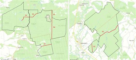 Schema: Keliai į sklypą - bendro naudojimo ir servitutiniai