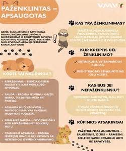 Ženklinimo mikroschema procedūra
