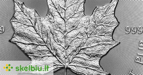 Klevo lapo ženklo tvirtinimo pavyzdys ant automobilio galo