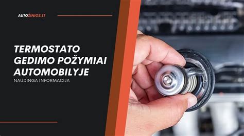 Nuotrauka, kurioje parodyta termostato vieta automobilyje