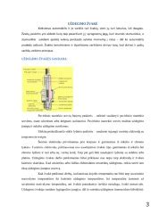 Uždegimo sistemos komponentai: žvakės ir ritės