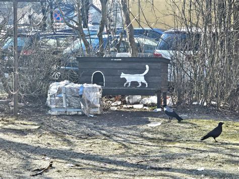 Vaizdinė informacija apie gyvūnų vedžiojimo taisykles