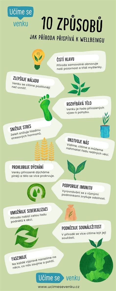 Infografika: Pakabos sistemos lyginimas