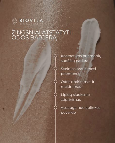 Scheminis 