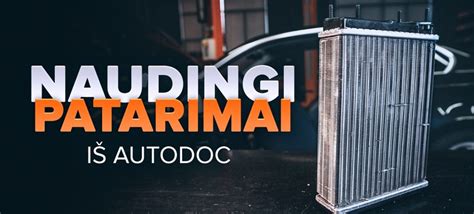 Schema kaip patikrinti automobilio veidrodėlių šildymo sistemą