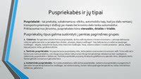 Įvairių tipų puspriekabės ir jų matmenys