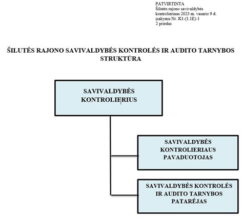 Kontrolės ir sankcijų schema