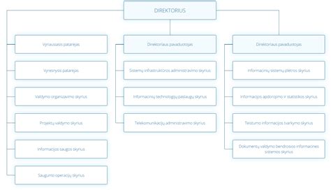 Slapukų ir Pixel žymų schema
