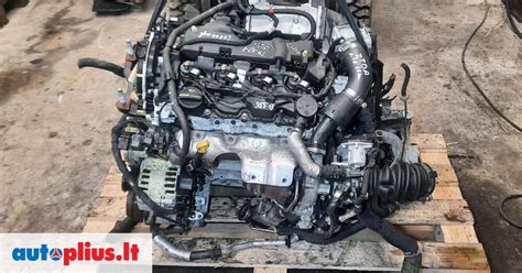 Scheminis Ford Galaxy 1.9 TDI variklio pjūvis