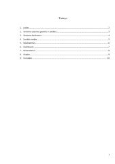 scheminis automobilio išmetimo sistemos pavaizdavimas