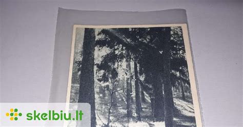 Nuotrauka, vaizduojanti saugų degalų pylimo procesą