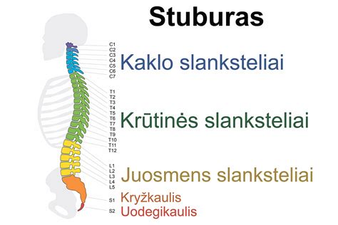 Stuburo slankstelių kompresinio lūžio schema
