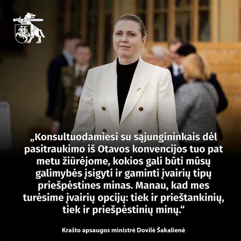 Įvairių tipų bamperio apsaugos detalių pavyzdžiai