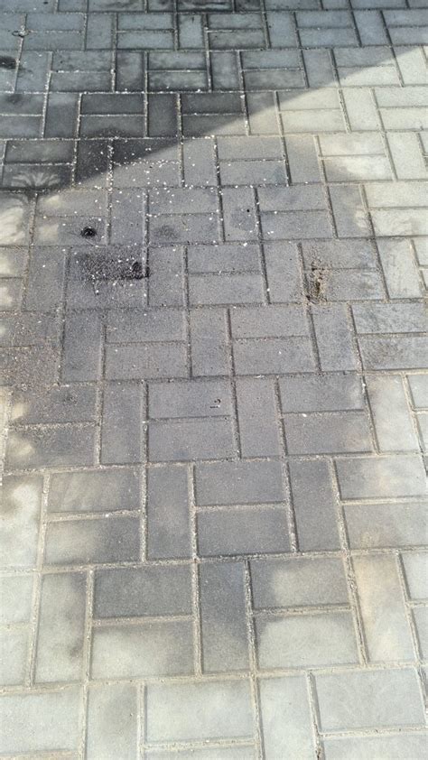 Tepalo dėmės ant trinkelių