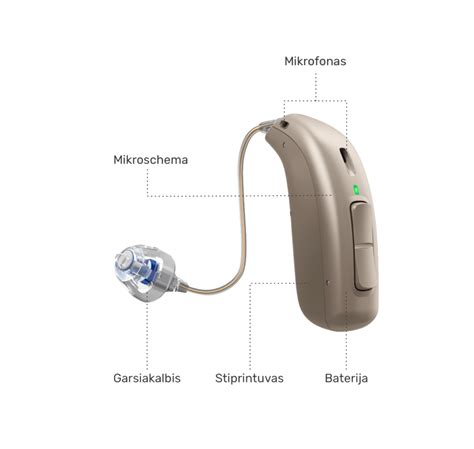 Schema, vaizduojanti klausos aparato veikimą