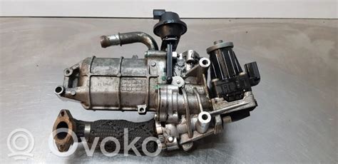 Citroen C5 EGR vožtuvo schema