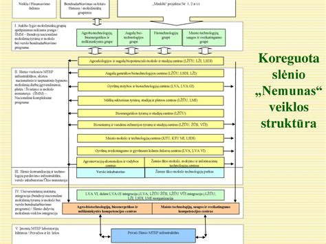 Schema, iliustruojanti automobilių inžinerijos studijų kryptis VGTU